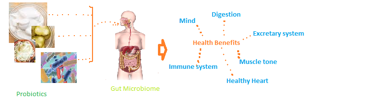 probiotics