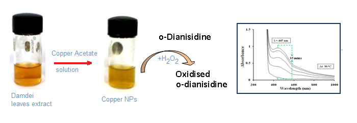 Copper Nanoparticles catalyzed oxidation