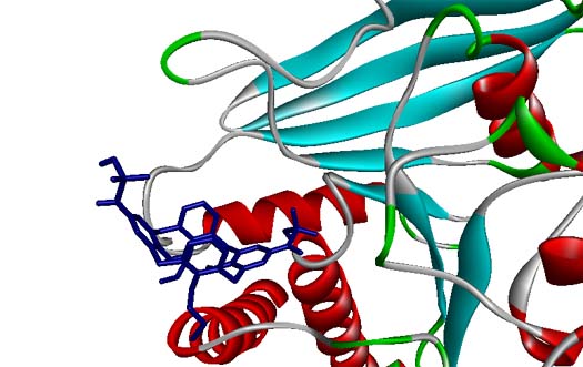 Calixarene-kinase docking