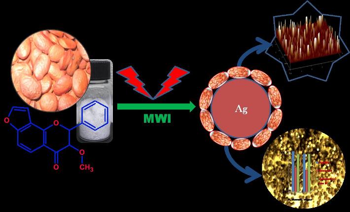 silver nanoparticle from kranjin