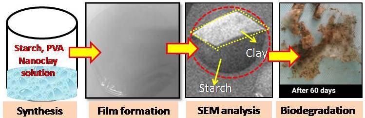 Starch Nanoclay composite