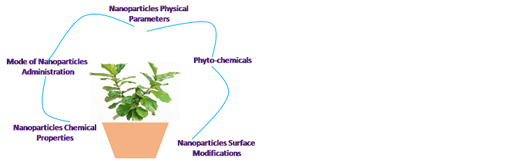 herbal nanomedicine review
