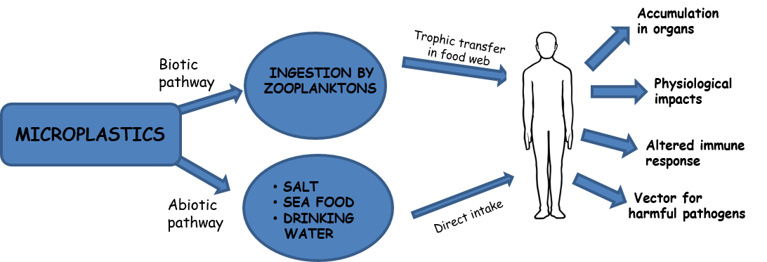 Microplastic in food chains