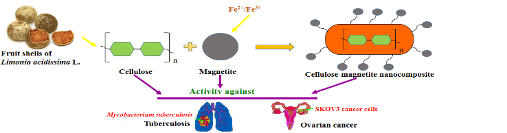 cellulose-magnetite nanocomposite