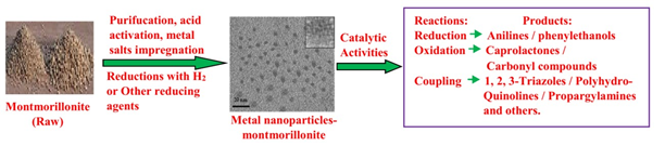 montmorillonite nanocatalysts